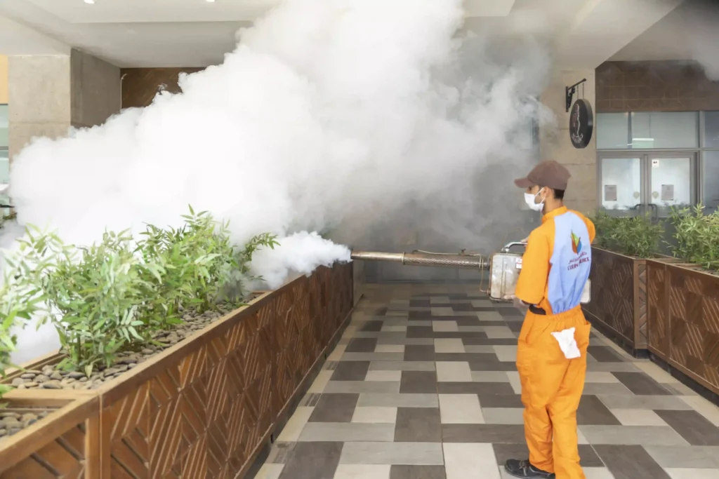 مكافحة الحشرات في الفجيرة سماء البركان 0507535405