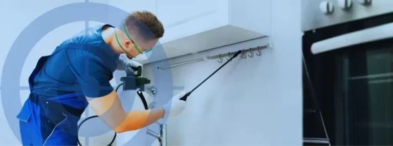 مكافحة الحشرات في الفجيرة سماء البركان 0507535405