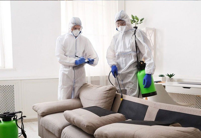 أفضل شركة مكافحة حشرات في أبوظبي سماء البركان 0507535405