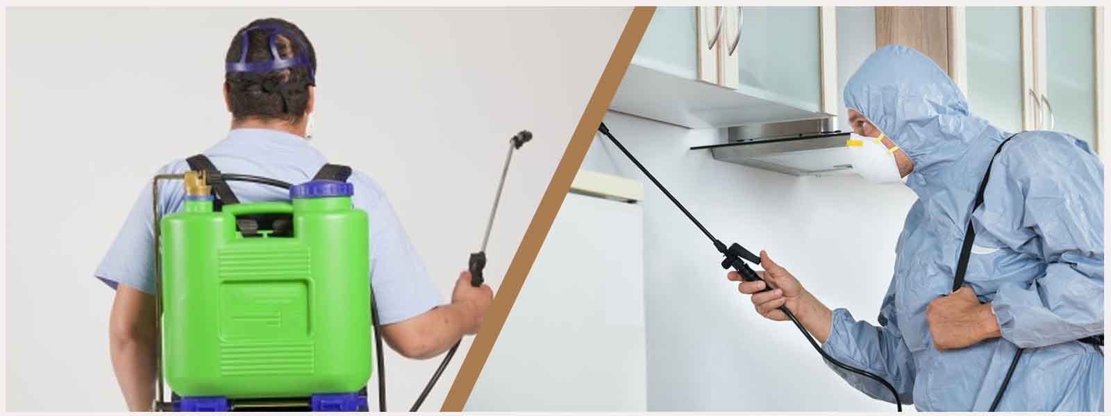 مكافحة الحشرات في عجمان سماء البركان 0507535405