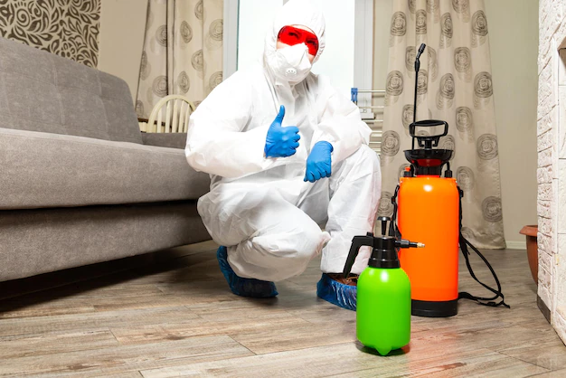 مكافحة الحشرات في أم القيوين سماء البركان 0507535405